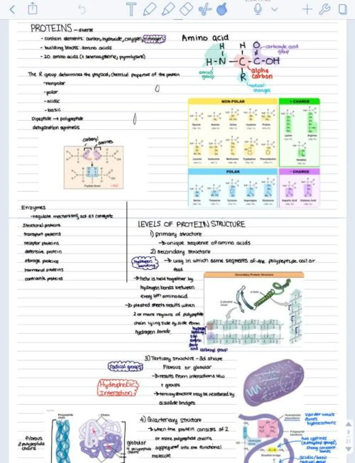 Notability Biology Notes