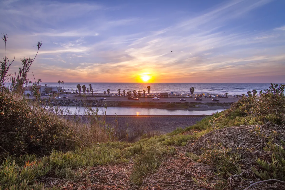 California beach and palm trees at sunset