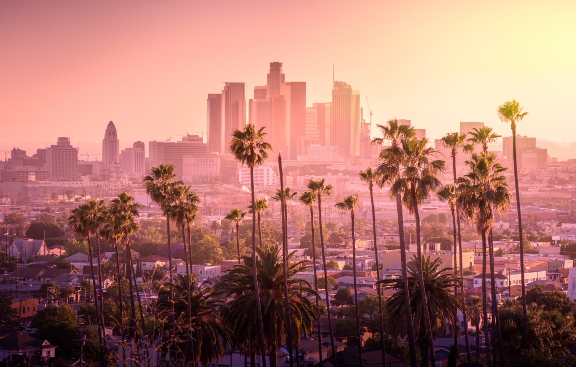 Sunset of Los Angeles downtown skyline with palm trees in foreground