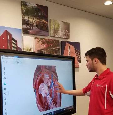 Student using touch screen 