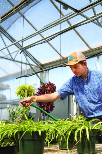 Andrew tending to his plants