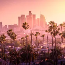 Sunset of Los Angeles downtown skyline with palm trees in foreground