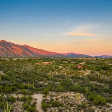 Tucson Desert with view of the Horizon